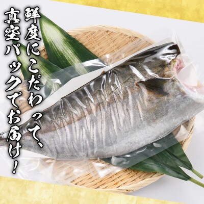 鮮度抜群!鹿児島県産カンパチ(片身分・4～4.5kg)　さるがく水産　a-40-11