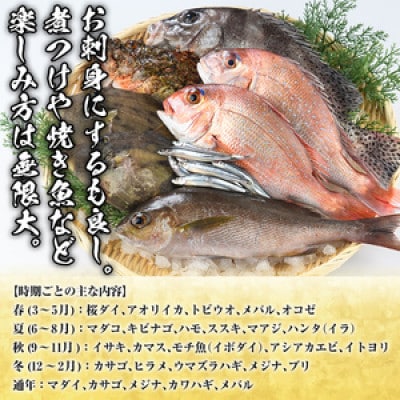 旬の天然鮮魚BOX(5～10kg)　さるがく水産　a-40-12