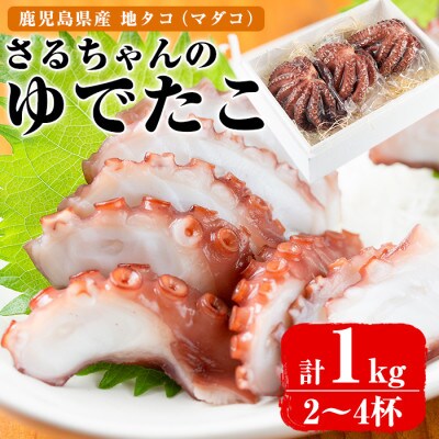 鹿児島県産地たこのゆでたこ(計1kg) さるがく水産　a-25-13