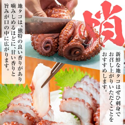 鹿児島県産地たこのゆでたこ(計1kg) さるがく水産　a-25-13