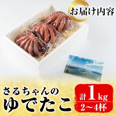 鹿児島県産地たこのゆでたこ(計1kg) さるがく水産　a-25-13