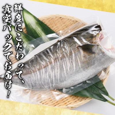 鮮度抜群!鹿児島県産 カンパチ 約1～1.5kg(片身分)【さるがく水産】akn028-28