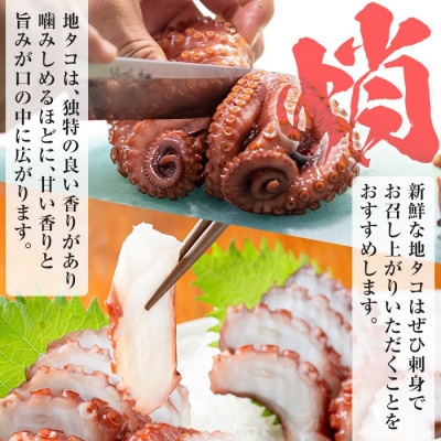 鹿児島県産地 たこのゆでたこ 計400g(2～3杯)【さるがく水産】akn028-01