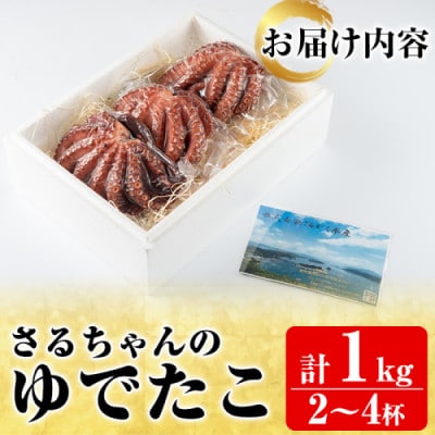 鹿児島県産地 たこのゆでたこ 計1kg(2～4杯)【さるがく水産】akn028-19
