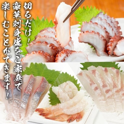 鹿児島県産! お刺身 切るだけセット (3人～4人前) 【さるがく水産】akn028-05