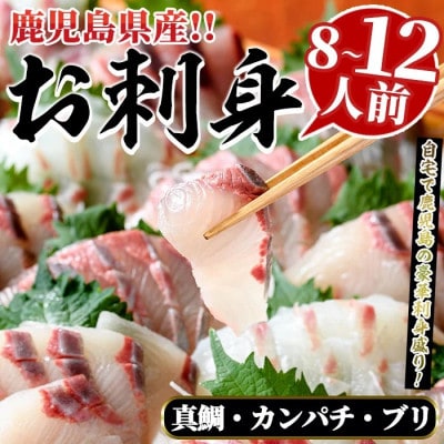 厳選!!お刺身 BOXセット (8～12人前)【さるがく水産】akn028-27