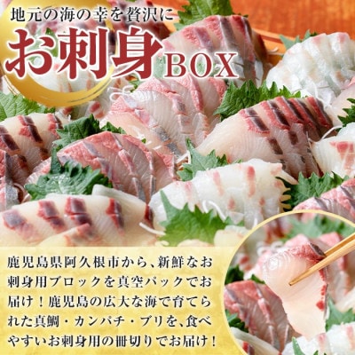 厳選!!お刺身 BOXセット (8～12人前)【さるがく水産】akn028-27