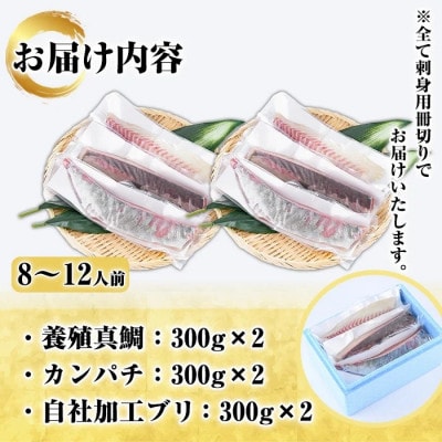 厳選!!お刺身 BOXセット (8～12人前)【さるがく水産】akn028-27