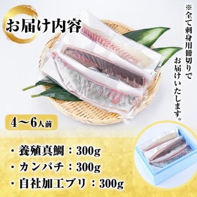 厳選!!お刺身 BOXセット (4～6人前)【さるがく水産】akn028-16