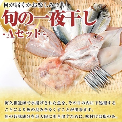 数量限定!阿久根市産 旬の一夜干しグルメ Aセット【さるがく水産】akn028-06