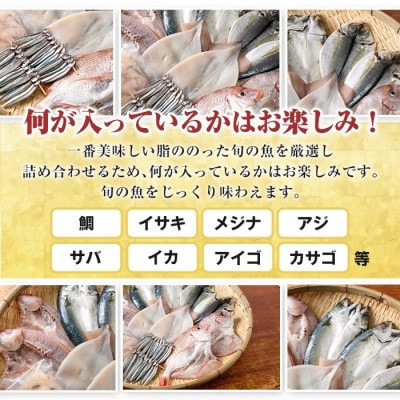 数量限定!阿久根市産 旬の一夜干しグルメ Aセット【さるがく水産】akn028-06