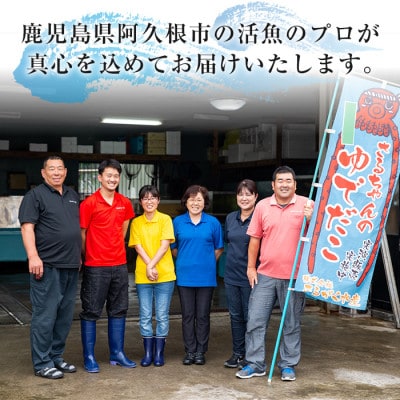 養殖真鯛 切身 計1kg(200g×5P)【さるがく水産】akn028-46