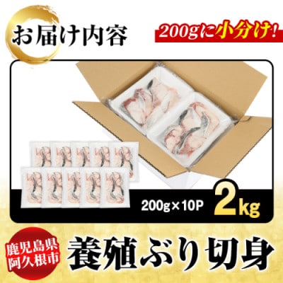 養殖ぶり切身 約2kg(200g×10P)【さるがく水産】akn028-45