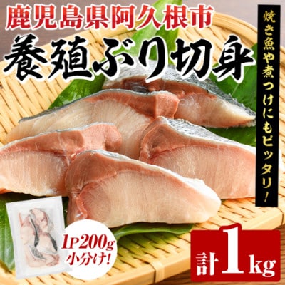 養殖ぶり切身 約1kg(200g×5P)【さるがく水産】akn028-44