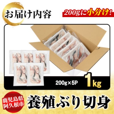 養殖ぶり切身 約1kg(200g×5P)【さるがく水産】akn028-44