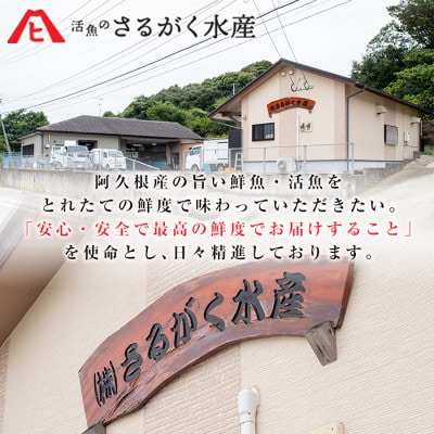 しめさば 約2kg (計10枚)【さるがく水産】akn028-51