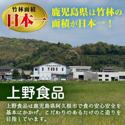 味付サラダたけのこ(計560g・70g×8袋)九州産 筍【上野食品】a-12-190-z