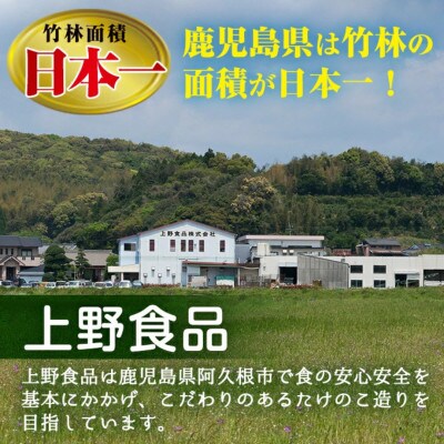 味付たけのこご飯の素(計840g・105g×8袋) 九州産 筍【上野食品】a-12-191-z