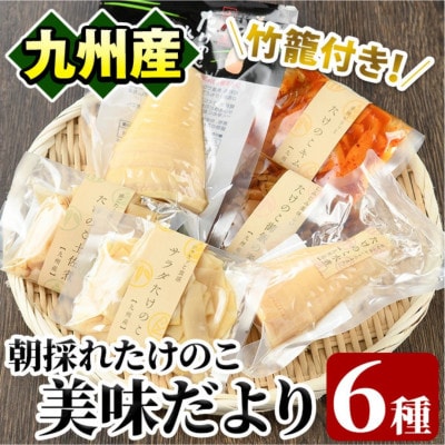 たけのこ美味だより(6種)国産 加工品 お弁当のおかずにも【上野食品】a-12-24-z