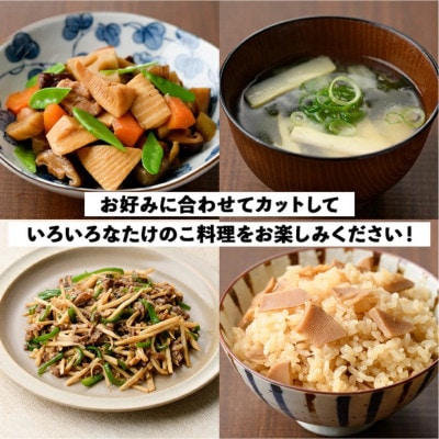 たけのこ美味だより(6種)国産 加工品 お弁当のおかずにも【上野食品】a-12-24-z