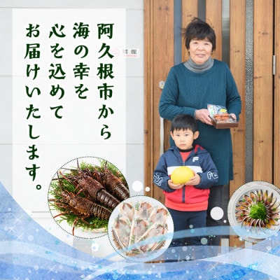 先行予約!数量限定 ギンタカハマガイ(三角みな)ボイル(300g×5P)【福美丸水産】
