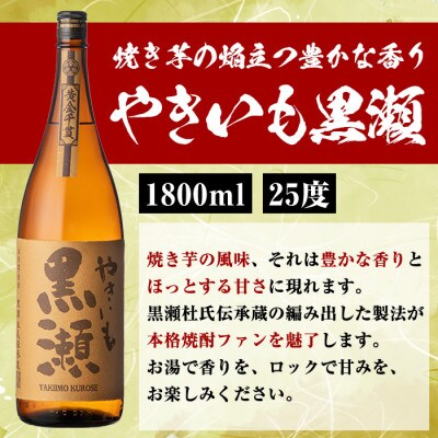 「やきいも黒瀬」3本と焼酎の肴に「筍キムチ」10個セット 本格芋焼酎 【齊藤商店】 a-41-6