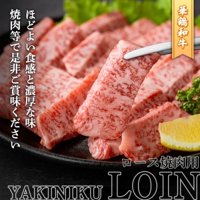 黒毛和牛肉!鹿児島いずみ 華鶴和牛 焼き肉用ロース約300g akn018-24(阿久根市)