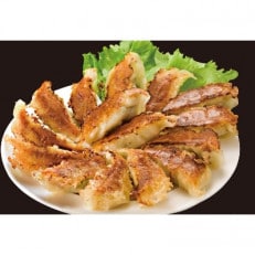 鹿児島黒豚餃子　12個入り×12P(阿久根市)