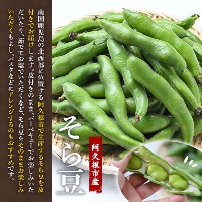 【先行受付中!2025年5月より順次発送】阿久根市産そら豆(4kg)【黒坂青果】a-12-118-z