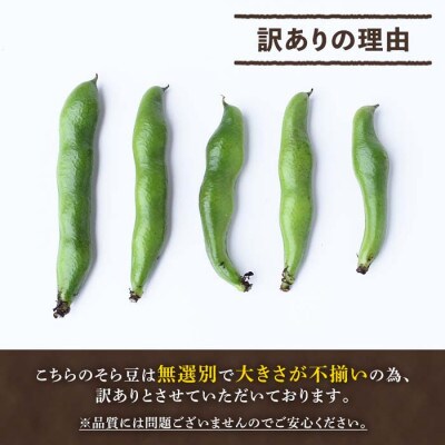 【先行受付中!2025年5月より順次発送】阿久根市産そら豆(4kg)【黒坂青果】a-12-118-z