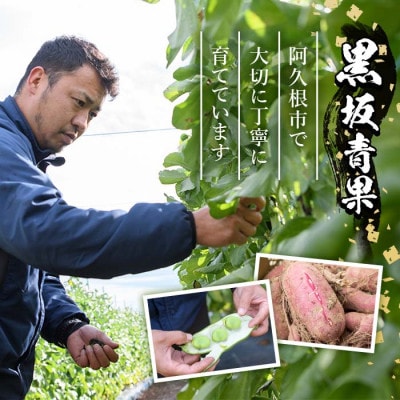 【先行受付中!2025年5月より順次発送】阿久根市産そら豆(4kg)【黒坂青果】a-12-118-z