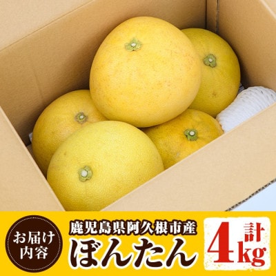 先行予約!12月中旬以降発送 阿久根市特産 ボンタン(4kg) 【松永青果】akn053-01