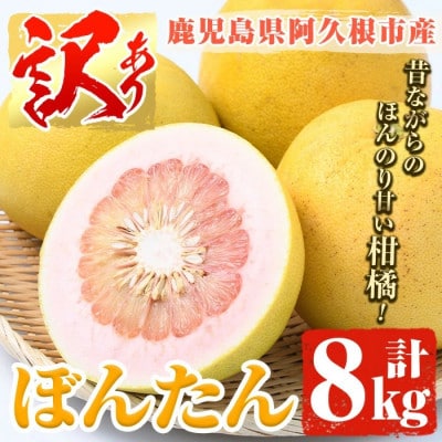 先行予約!12月中旬以降発送 阿久根市特産 ボンタン(計8kg) 【松永青果】akn053-02
