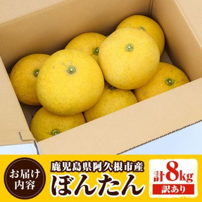先行予約!12月中旬以降発送 阿久根市特産 ボンタン(計8kg) 【松永青果】akn053-02