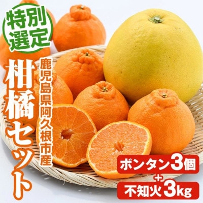 先行予約!2026年1月以降発送 鹿児島県 阿久根市産! 柑橘セット 【松永青果】akn053-26