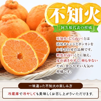 先行予約!2026年1月以降発送 鹿児島県 阿久根市産! 柑橘セット 【松永青果】akn053-26