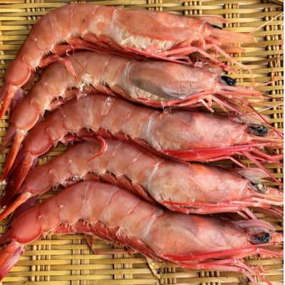 タカエビ　500g×2　a-14-25