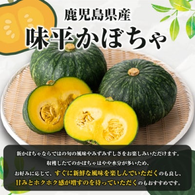 【先行予約 2026年5月～発送】鹿児島県産 味平かぼちゃ 約10kg【松永青果】akn053-24
