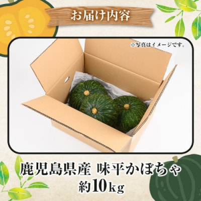 【先行予約 2026年5月～発送】鹿児島県産 味平かぼちゃ 約10kg【松永青果】akn053-24