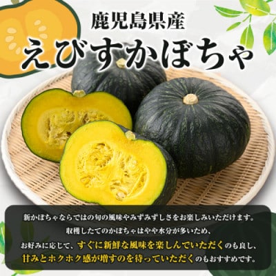 【先行予約 2026年5月～発送】鹿児島県産 えびすかぼちゃ 約5kg【松永青果】akn053-04