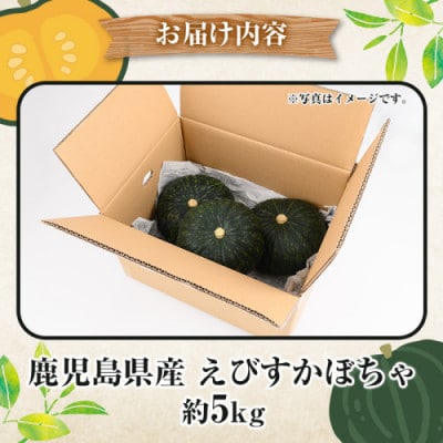 【先行予約 2026年5月～発送】鹿児島県産 えびすかぼちゃ 約5kg【松永青果】akn053-04