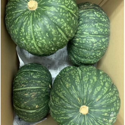 えびすかぼちゃ　10kg