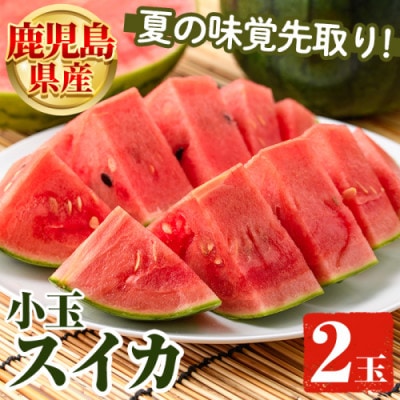 【先行受付! 2026年5月中旬より順次発送】小玉すいか 2玉 【松永青果】akn053-06