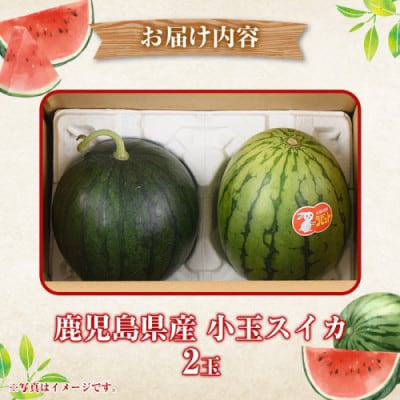 【先行受付! 2026年5月中旬より順次発送】小玉すいか 2玉 【松永青果】akn053-06