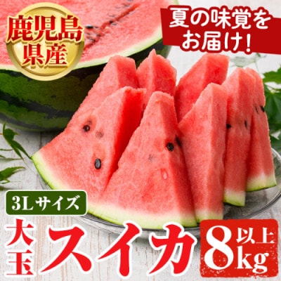 �y��s��t!2026�N7����菇�������z ��ʂ����� 1��(��8kg)�y���i�ʁzakn053-15