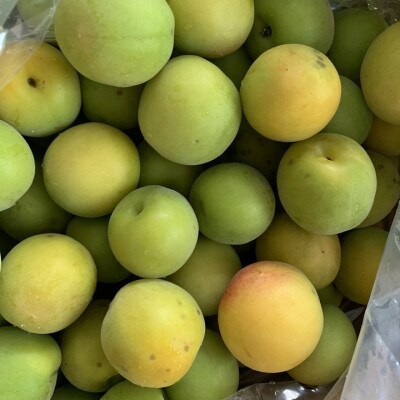 南高梅　訳あり6kg