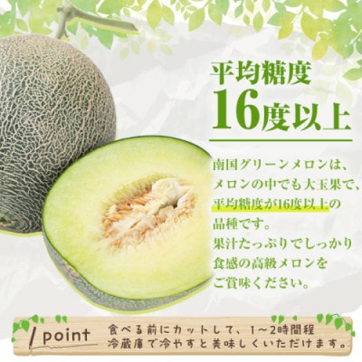 数量限定! 鹿児島県産 南国グリーンメロン 2玉(計3kg)【先行受付! 2026年6月下旬～発送】