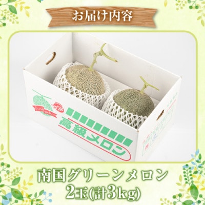 数量限定! 鹿児島県産 南国グリーンメロン 2玉(計3kg)【先行受付! 2026年6月下旬～発送】