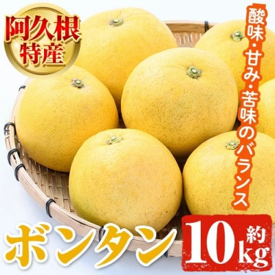 先行予約!2026年1月以降発送 阿久根市特産 ボンタン(10kg) 【松永青果】akn053-28