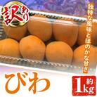 先行予約!2026年5月上旬以降順次発送 訳あり びわ 約1kg 【松永青果】akn053-10